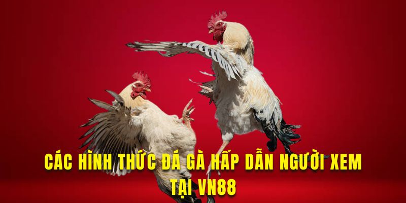 Khám phá các hình thức đá gà hấp dẫn người chơi