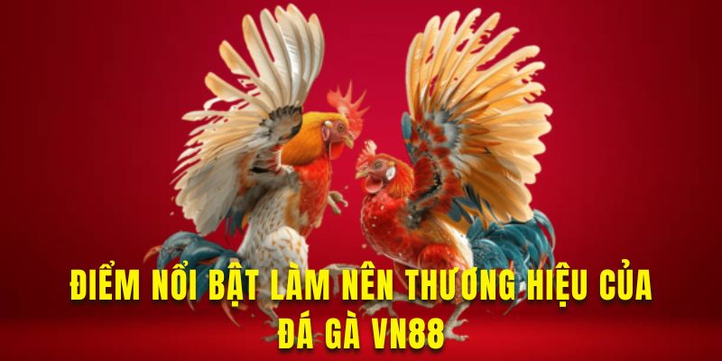 Tham khảo các ưu điểm nổi bật tại nền tảng đá gà này