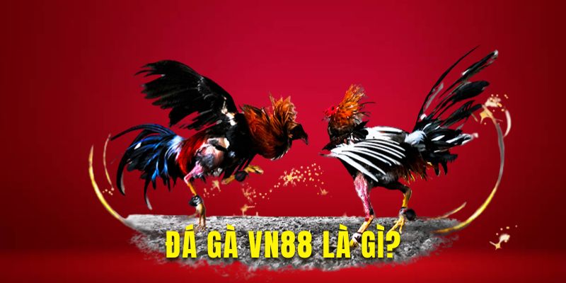 Tìm hiểu nền tảng đá gà VN88 hấp dẫn